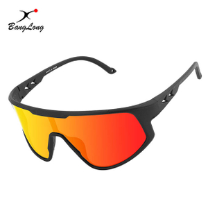 Bicycle Mirrored Lenses Full Frame Sport Sunglasses